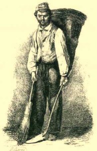 amn_lutammaro