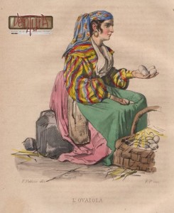 amn_ovaiola
