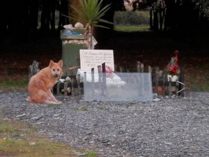 romina e il cane