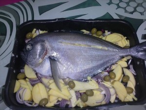 pesce castagna